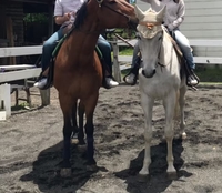 【開催済み】【現在５名】ホーストレッキングしよう♪