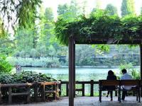 Photo walk‼︎ 吉祥寺