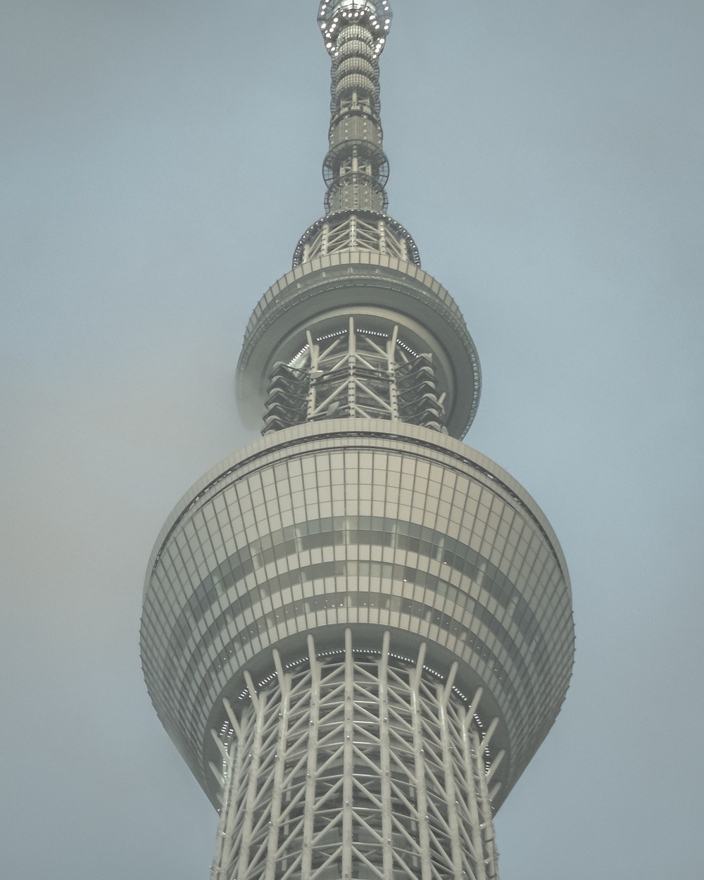 雨で中止！