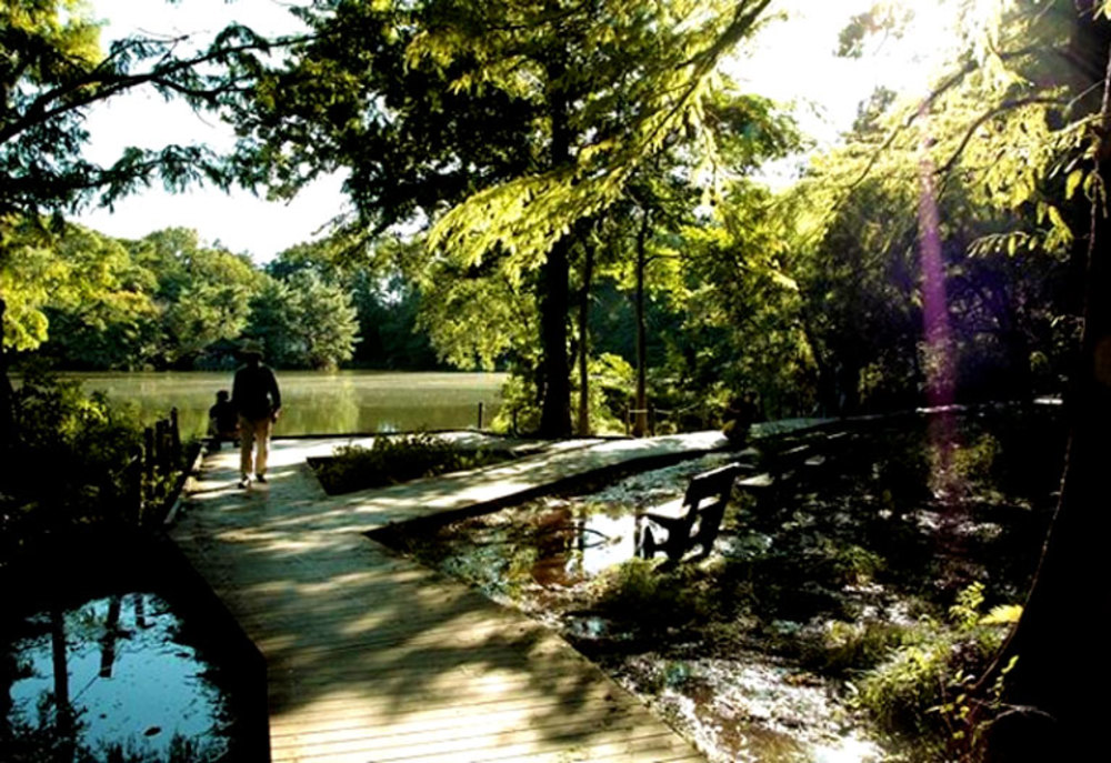 ✨🌿誰でも参加歓迎！石神井公園で森林浴会🌿✨