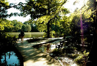 ✨🌿誰でも参加歓迎！石神井公園で森林浴会🌿✨