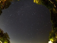 11/16-17 薪使い放題キャンプ場で燃やしますキャンプ