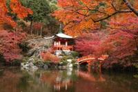 紅葉の醍醐寺へいこう🍁