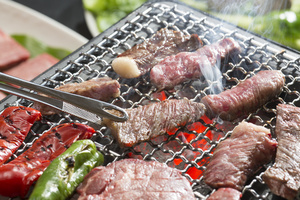 International Barbecue Party in Tsurumiryokuchi 国際交流バーベキューパーティ　鶴見緑地公園