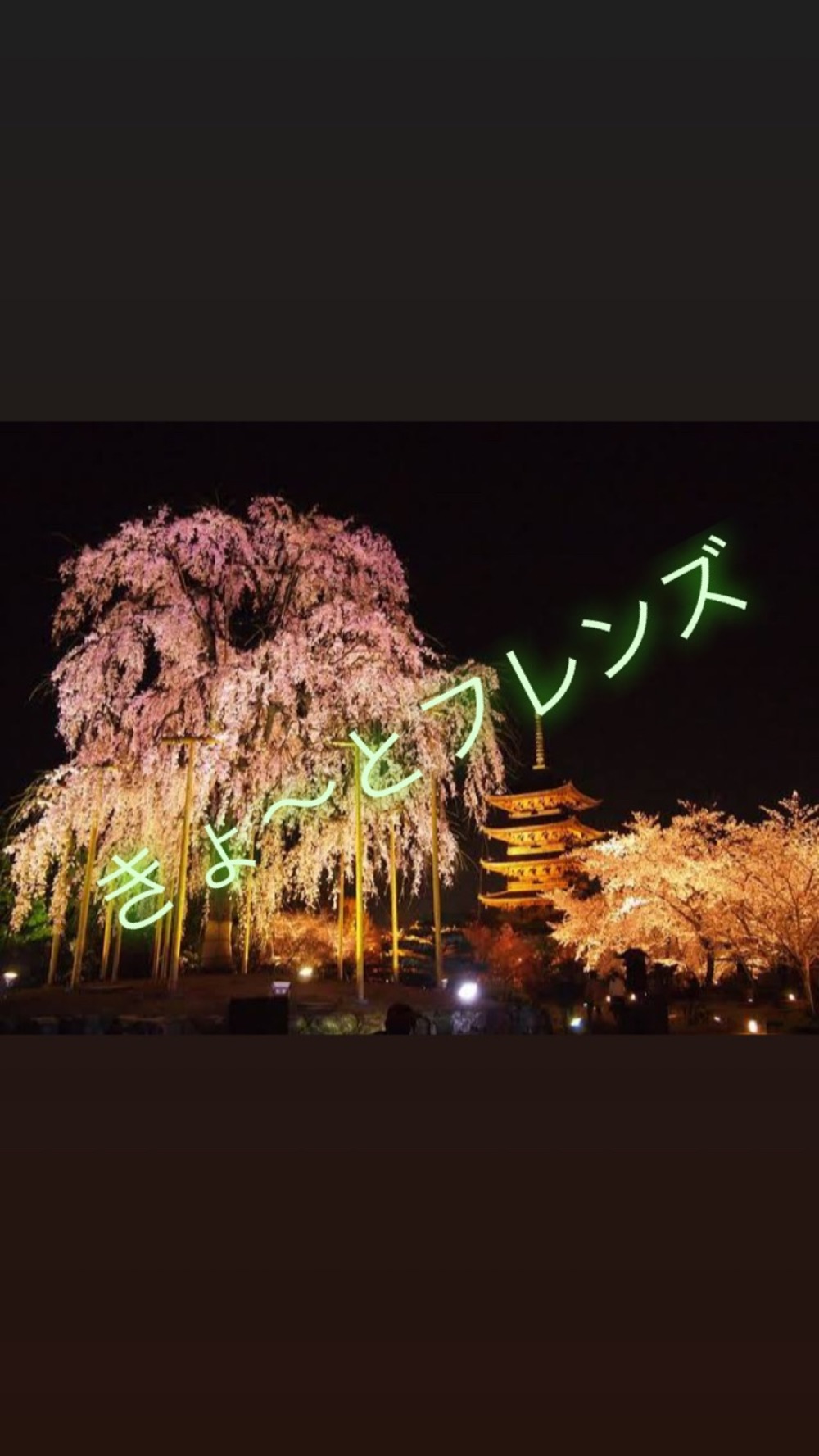 京都の紅葉ライトアップが圧巻！第一弾 「東寺」