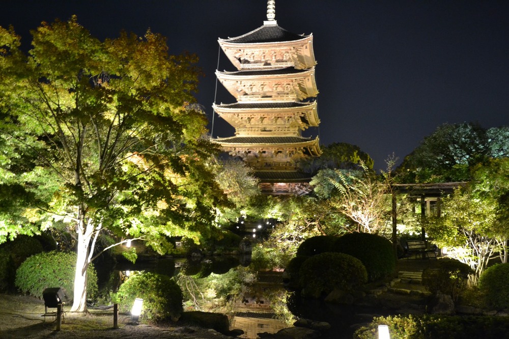 京都の秋は紅葉が絶景を演出し、秋の風物詩として夜のライトアップも幻想的でうっとりしますよね。 そんな京都は紅葉ライトアップの宝庫です！ 第一弾として、東寺！！