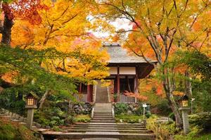 11/23 9:00〜  嵐山散策