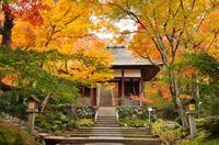 11/23 9:00〜  嵐山散策