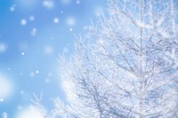 1/25（土）日帰りスキースノボ旅行【かぐらスキー場の予定】