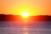 12/31（火）～1/1（水） 年越し＆初日の出を観に行こう！！