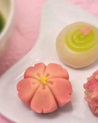 【12月7日】京都散策 御朱印巡りと和菓子体験