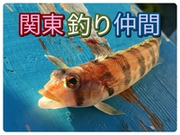 ヤリイカ釣るぞ！