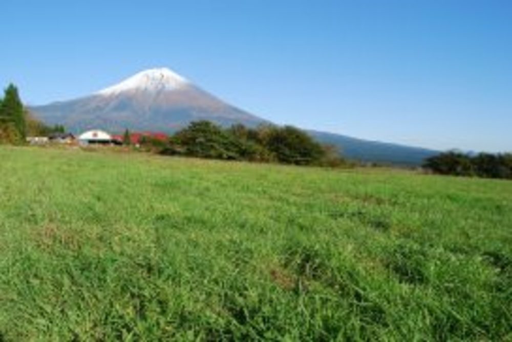1/11-12 広大な芝生サイトで富士山キャンプと併設の温泉でゆったり