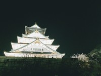 大阪城公園内でゆっくり雑談しませんか