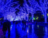 〜青の洞窟〜 イルミネーション （渋谷→明治神宮前）