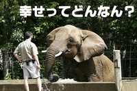 哲学対話　「幸せってどんなん？」