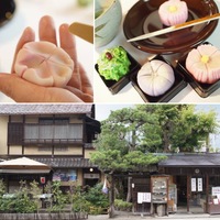🍡七条カフェめぐり と 和菓子作り体験🍡