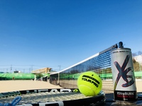 🎾1/26(日)9-11時@猿江恩賜公園テニス🎾
