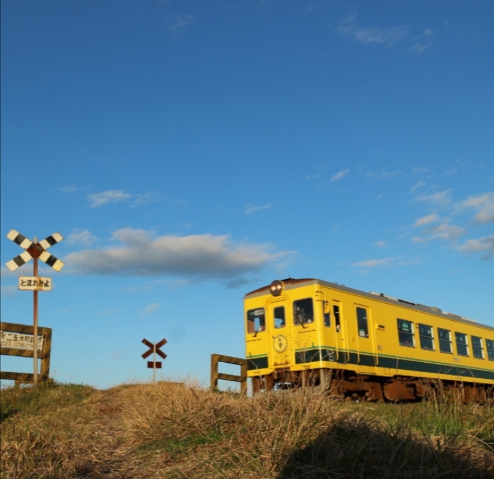 中井精也さんで有名ないすみ鉄道を撮りに行こう＼(^o^)／