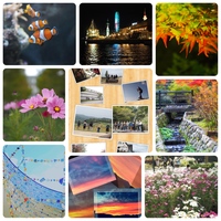 2月カメラ持ってお出かけ♫