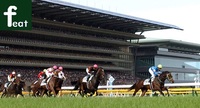 競馬観戦をしよう！