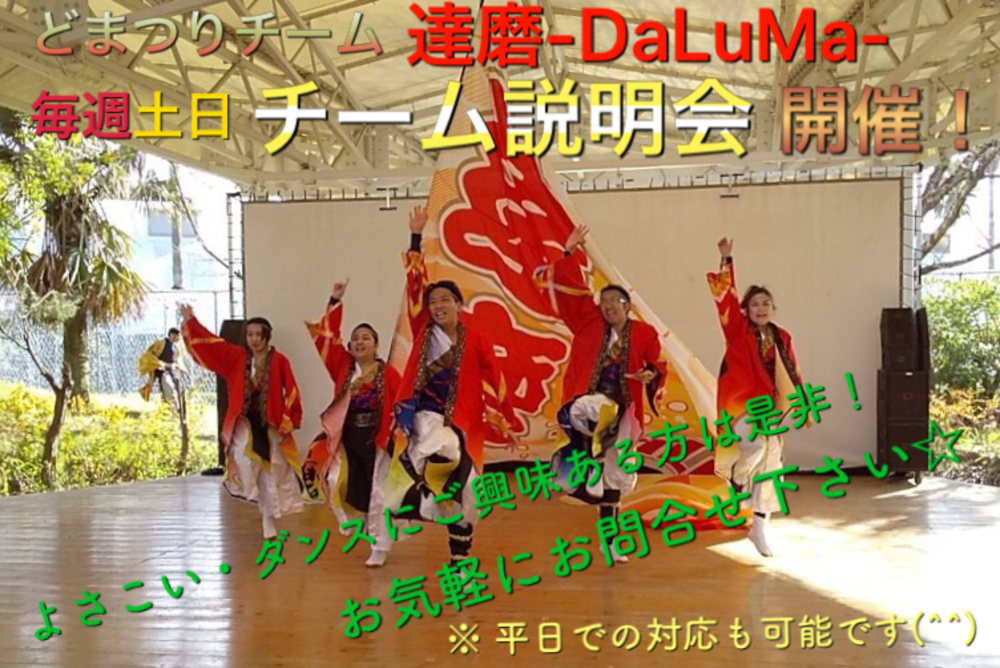 達磨-DaLuMa- チーム説明会　※どまつりや踊りに興味ある人は是非！😄