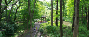 ✨🌿誰でも参加歓迎！林試の森公園で森林浴会🌿✨