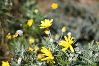 みなとみらい〜山下公園散策&撮影
