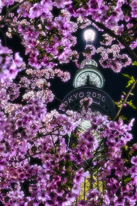 スカイツリー近辺探索