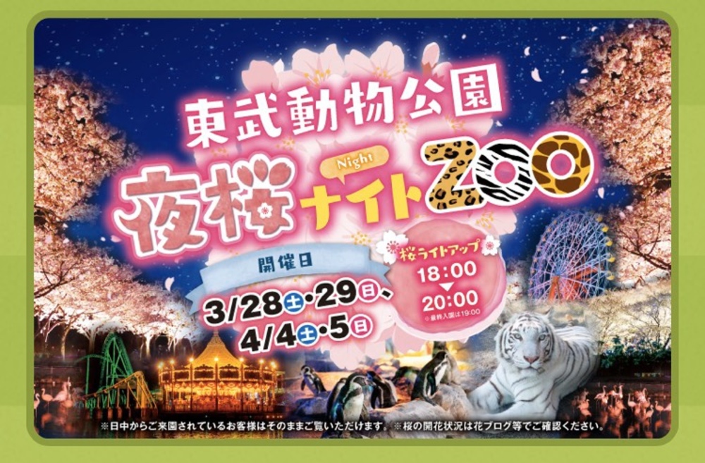 3/28 17時〜【夜桜ナイトZoo】in東武動物公園❗️