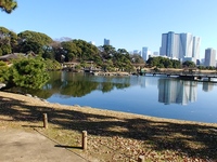 浜松町付近 : 頑張って散歩したい