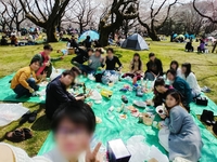 3/29 あにおたお花見🌸