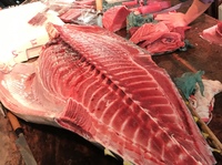 【開催中止】m(_ _)mマグロ大好き！！マグロ食べ尽くしランチ会！！