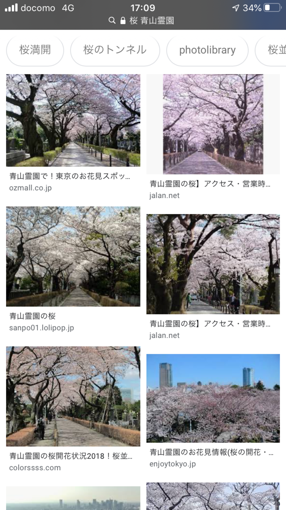 着物×桜 撮影会 被写体参加者募集