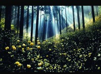 試験的💡 絶景を撮り隊 📷️ 遠出撮影会🚗