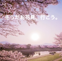 そうだお花見、行こう。