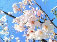 休日つまらない解消会議