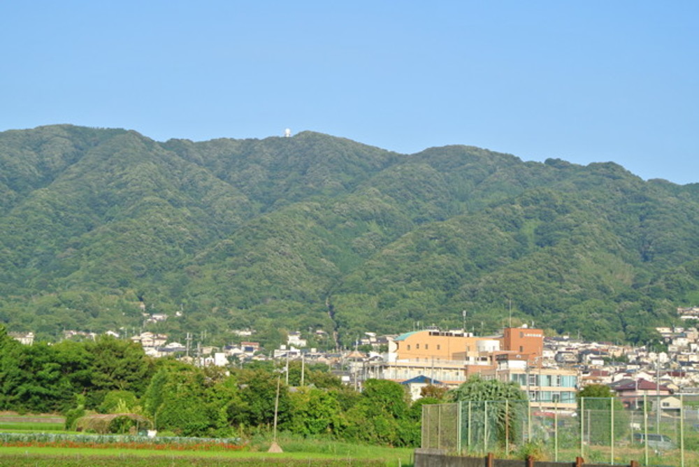 【延期】大阪を一望！自然の宝庫、高安山
