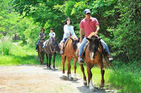 8/15（土） ホーストレッキングin八ヶ岳