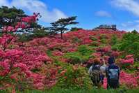【6月6日（土）】満点のツツジが楽しめる高柴山＆ロープでシェルト設営講習