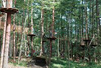 7/26（日）アスレチック＆温泉in箱根