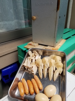 いよいよ夏のアウトドア