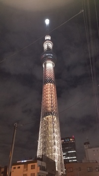 【定員に達しました】浅草寺～スカイツリー～ふれあい橋(4.4km)