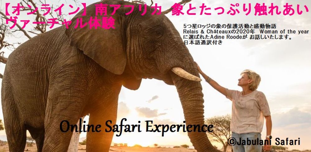 南アフリカ　象とたっぷり触れあいヴァーチャル体験