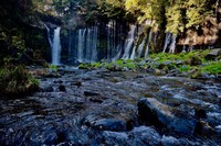 富士麓の夏景色を見にいこう