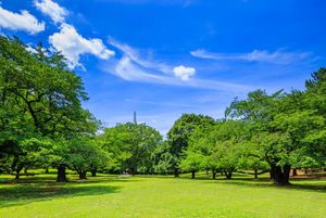 光が丘公園ランニング