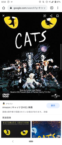 🎹ミュージカルを語る夜　〜第8幕〜　キャッツ🎹