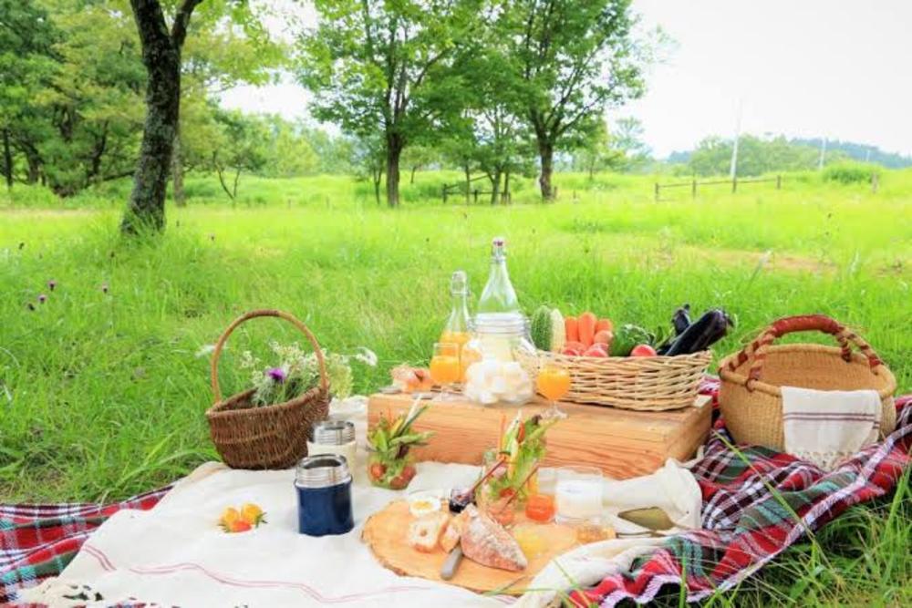 みんなでピクニック！　in砧公園