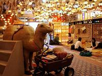 マツコの知らない世界「魅惑のボリウッドダンスを食と一緒に楽しもう」