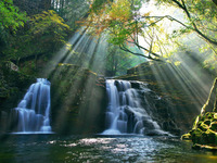 【10月24日】初参加者限定!!少人数で行く赤目四十八滝まったりヒーリング(残席1名)